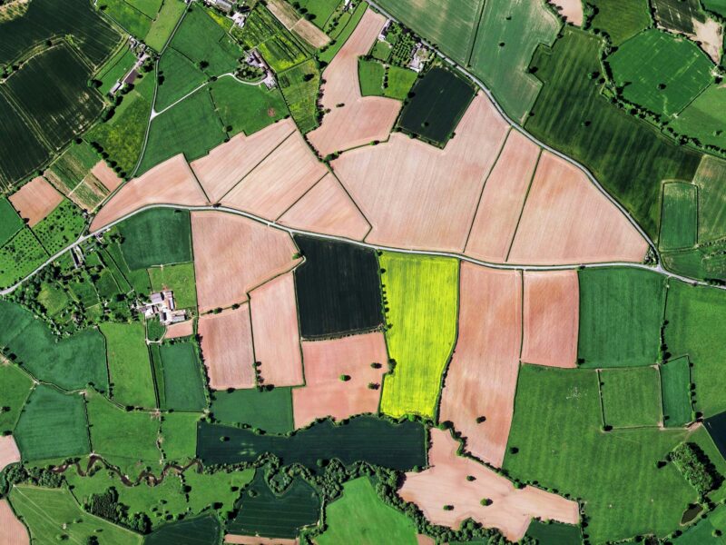 land